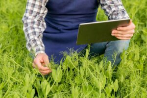 Farmer with tablet check plants