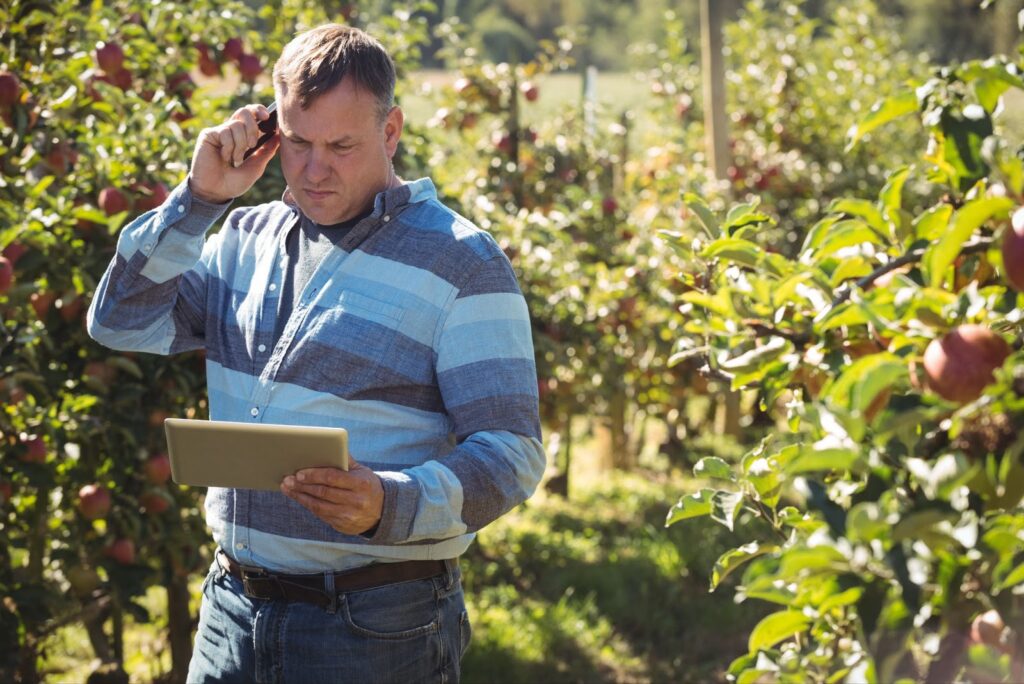 Farmer using digital tablet while talking on mobile phone in apple orchard