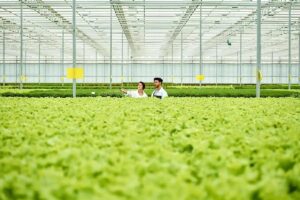 Two people standing in a greenhouse