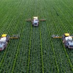 Three harvesters in the field top view