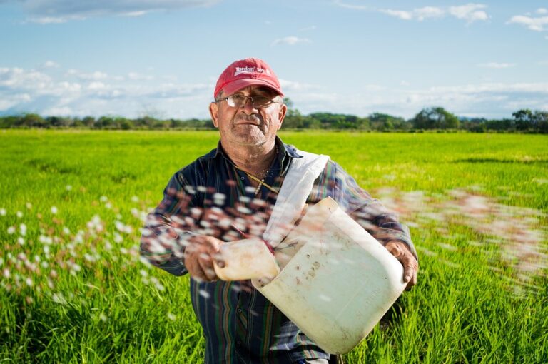 The Call of the North: Why Farmers and Ranchers are Relocating to Canada
