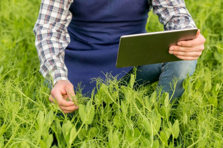 Navigating Integrated Crop Management Practices
