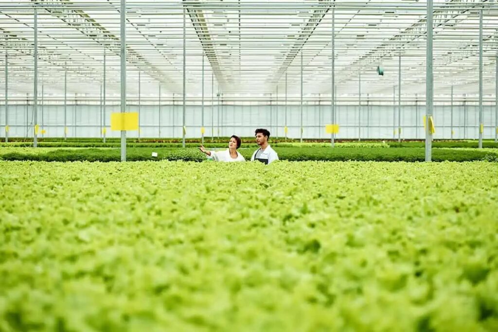 The Global Impact of Commercial Agriculture
