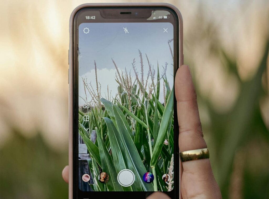 How information about agricultural products influences consumers through social media